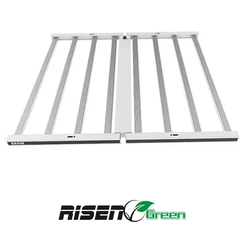 Foco 880w led pro lighting risen green 03