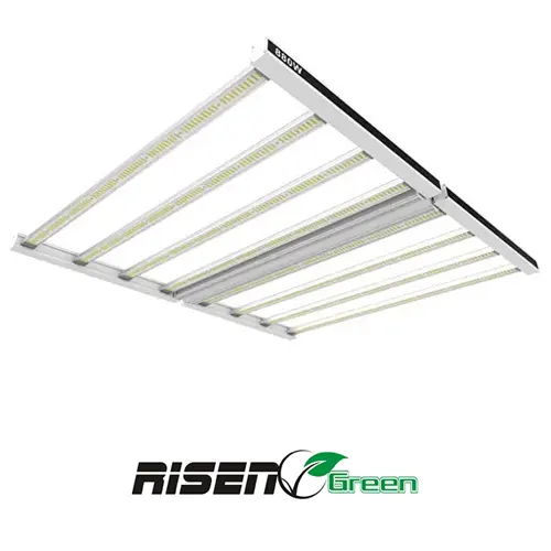 Foco 880w led pro lighting risen green
