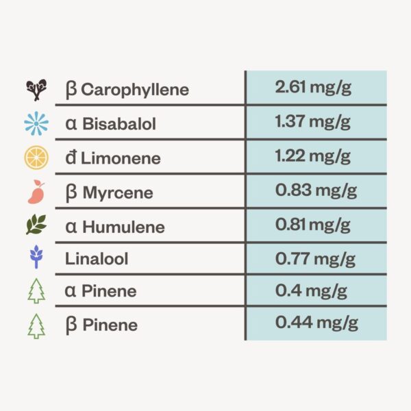 Bubba cheesecake terps 01